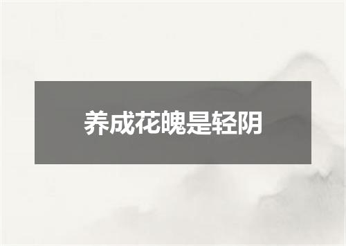 养成花魄是轻阴