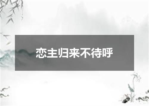 恋主归来不待呼