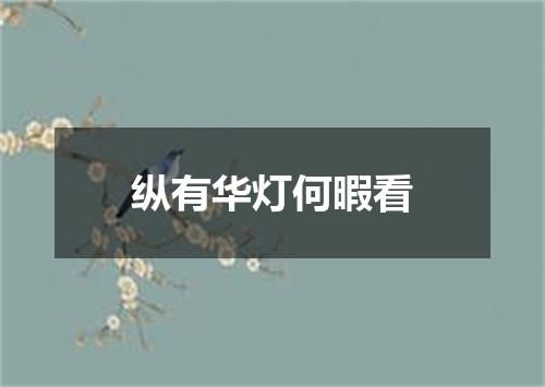 纵有华灯何暇看