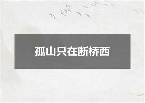 孤山只在断桥西