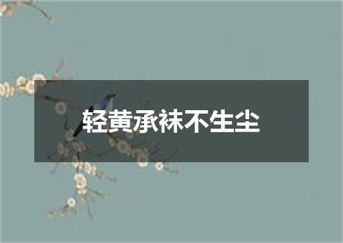 轻黄承袜不生尘