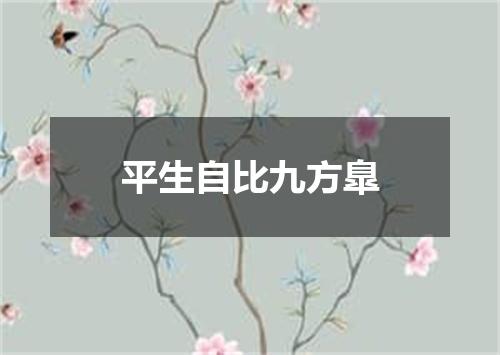 平生自比九方臯
