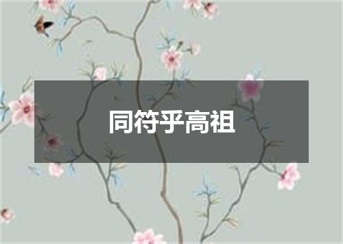 同符乎高祖