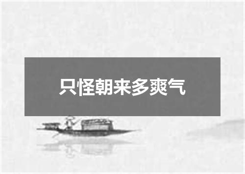 只怪朝来多爽气