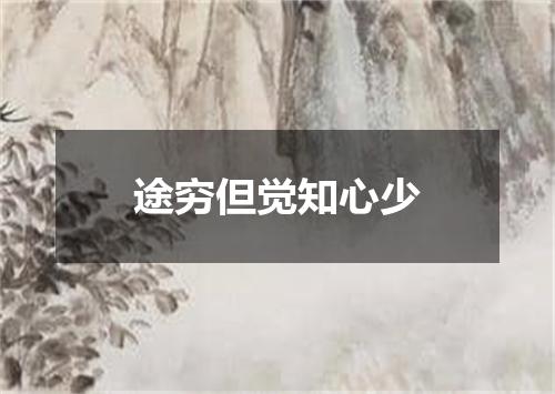途穷但觉知心少