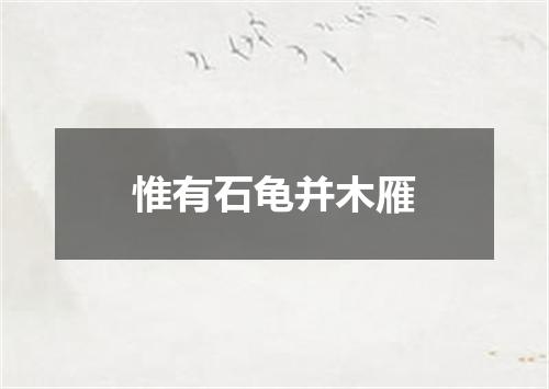 惟有石龟并木雁