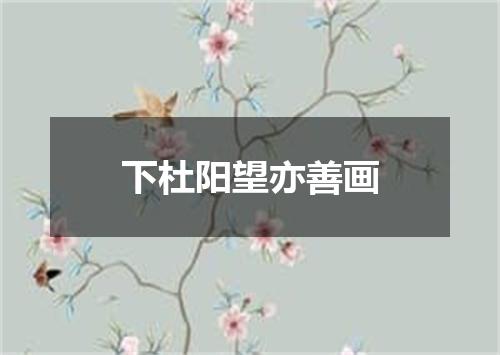下杜阳望亦善画