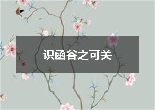 识函谷之可关