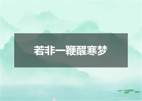 若非一鞭醒寒梦