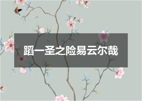 蹈一圣之险易云尔哉