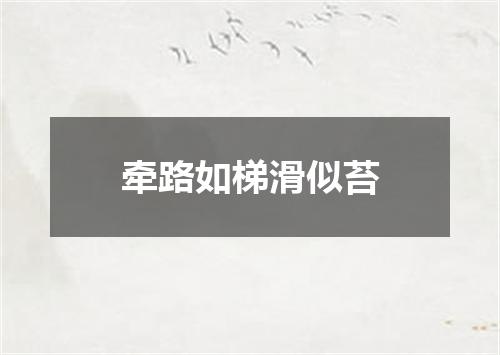 牵路如梯滑似苔
