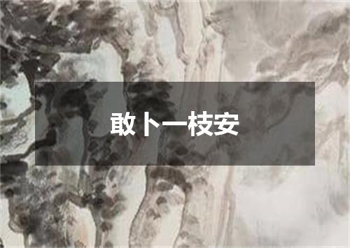 敢卜一枝安