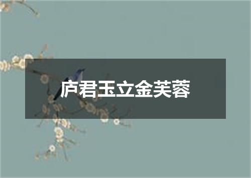 庐君玉立金芙蓉