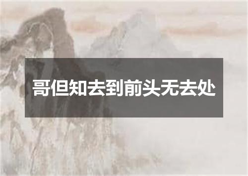 哥但知去到前头无去处