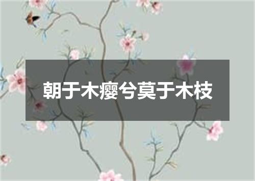 朝于木瘿兮莫于木枝