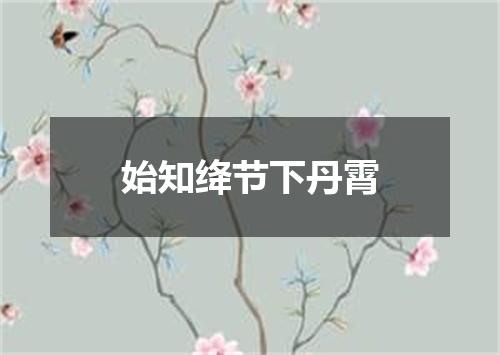 始知绛节下丹霄