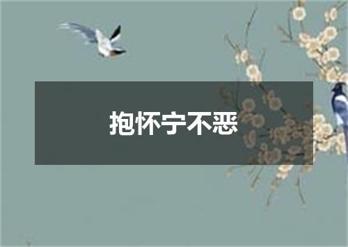 抱怀宁不恶