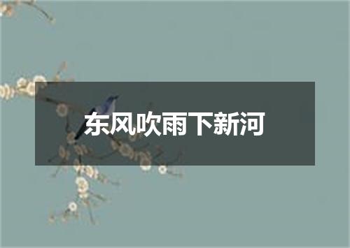 东风吹雨下新河