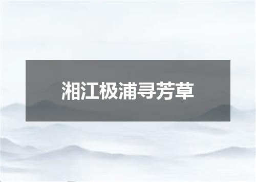 湘江极浦寻芳草