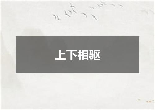 上下相驱