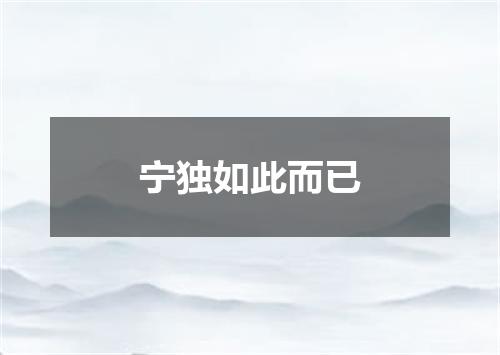 宁独如此而已