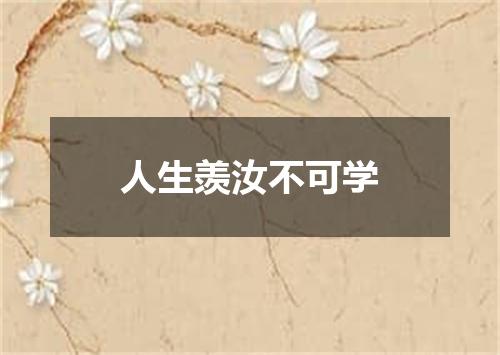 人生羡汝不可学