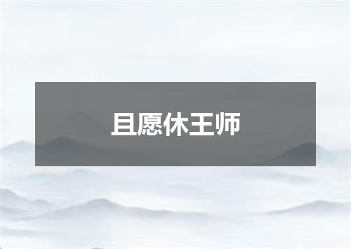 且愿休王师