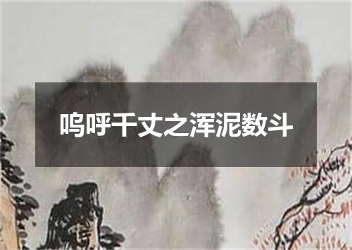 呜呼千丈之浑泥数斗