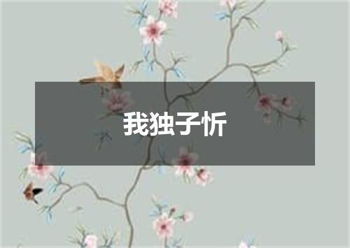 我独子忻