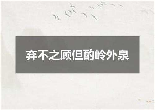 弃不之顾但酌岭外泉