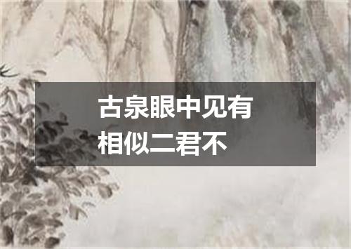 古泉眼中见有相似二君不
