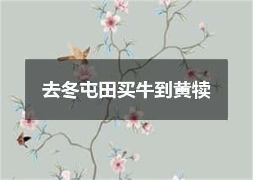 去冬屯田买牛到黄犊