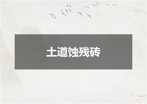 土道蚀残砖