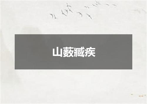 山薮臧疾
