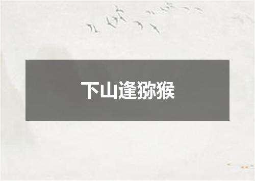 下山逢猕猴