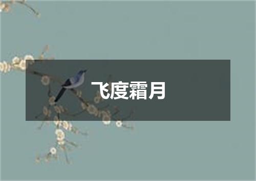 飞度霜月