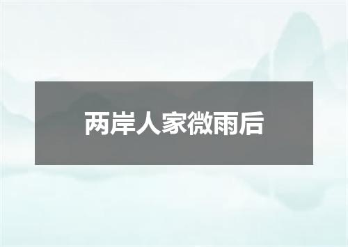 两岸人家微雨后