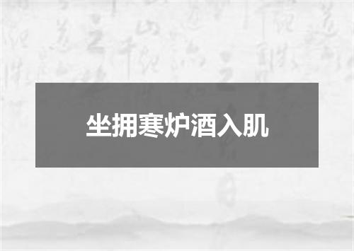 坐拥寒炉酒入肌