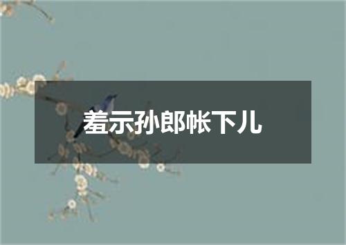 羞示孙郎帐下儿