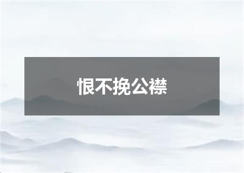恨不挽公襟