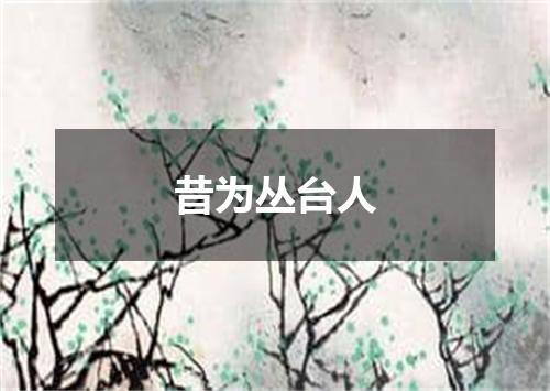 昔为丛台人