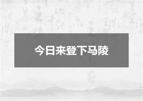 今日来登下马陵