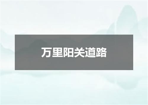 万里阳关道路