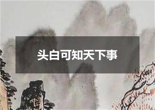 头白可知天下事