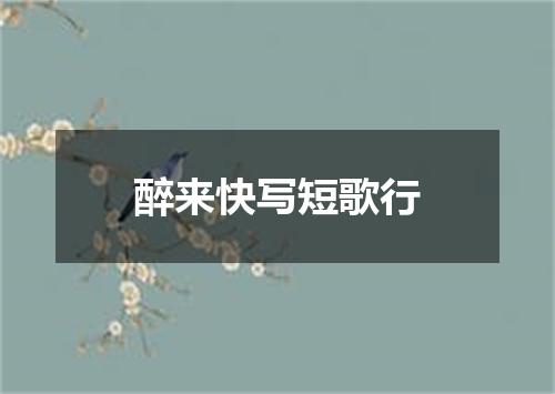 醉来快写短歌行