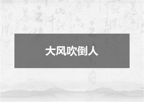 大风吹倒人