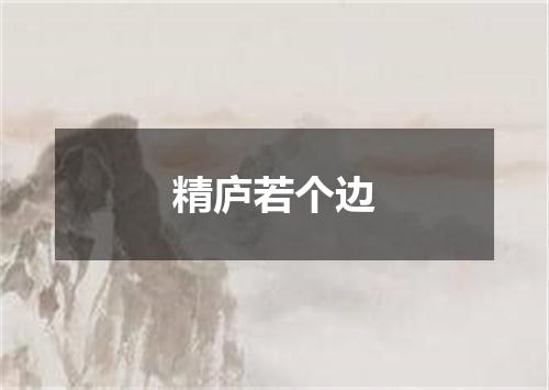 精庐若个边