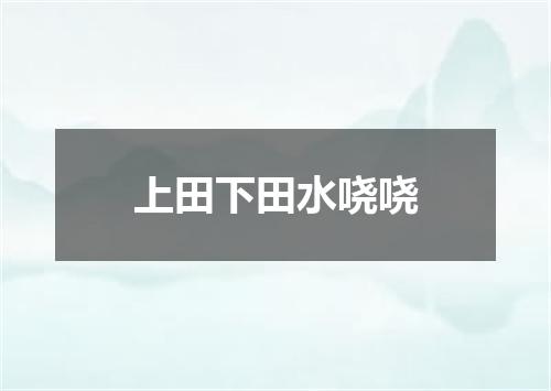 上田下田水哓哓