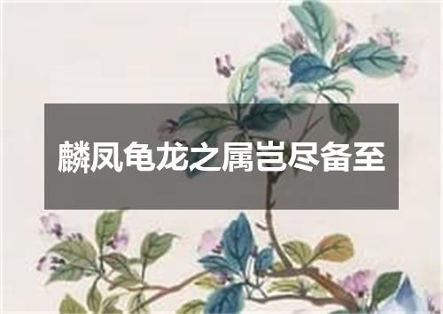 麟凤龟龙之属岂尽备至