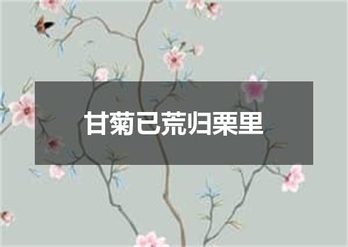甘菊已荒归栗里